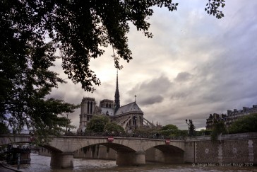 Paris 04 – Notre Dame et la Rose