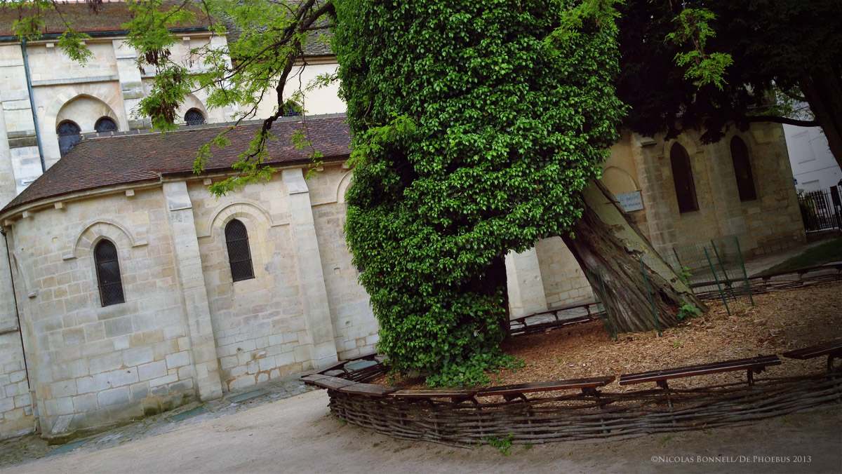 Square René Viviani - Quai de Montebello