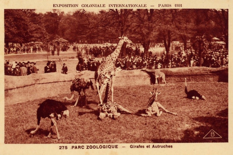 Zoo de Vincennes